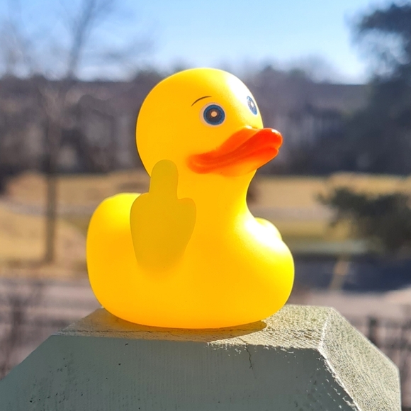 Fluff Off Rude Duck Duck Jeep - Picture 3 of 4